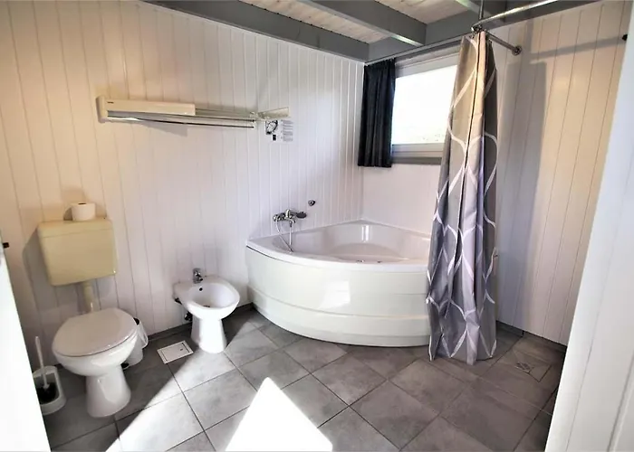 Wildgans 10 * Rechlin